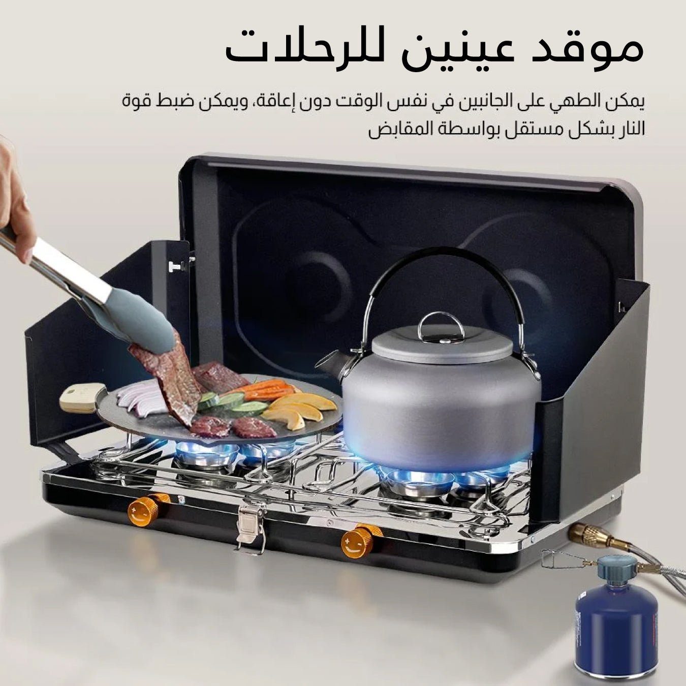 Portable cooker